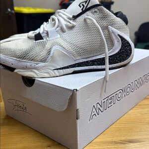 Nike  Zoom Freak 1 Men's Basketball Shoes